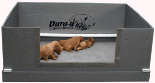 dog delivery box
